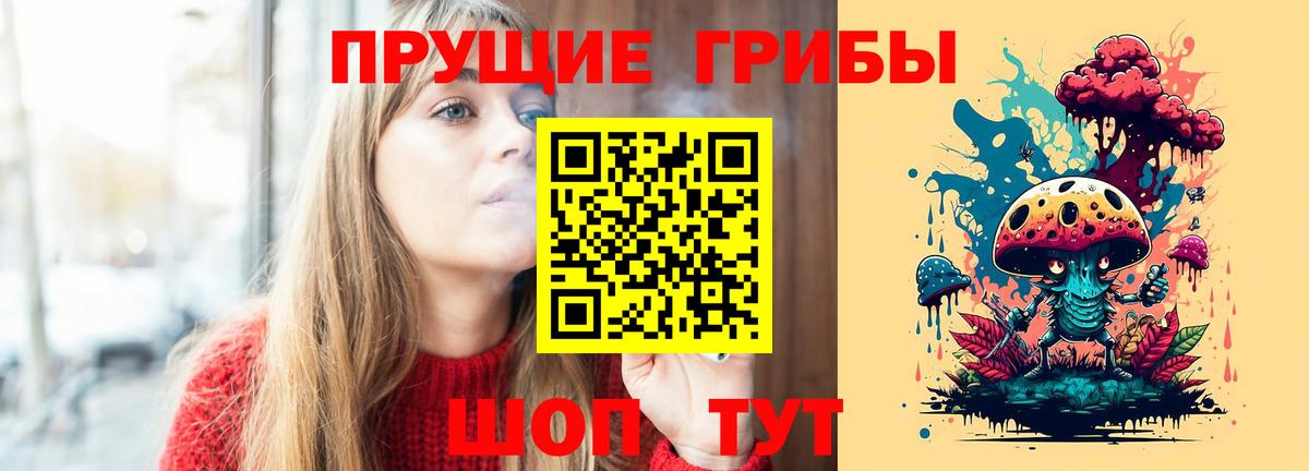 Прокопьевск  где найти   Вход с VPN  Галлюциногенные грибы GOLDEN TEACHER  Галлюциногенные грибы мухоморы 